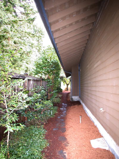 Lower level fireplace